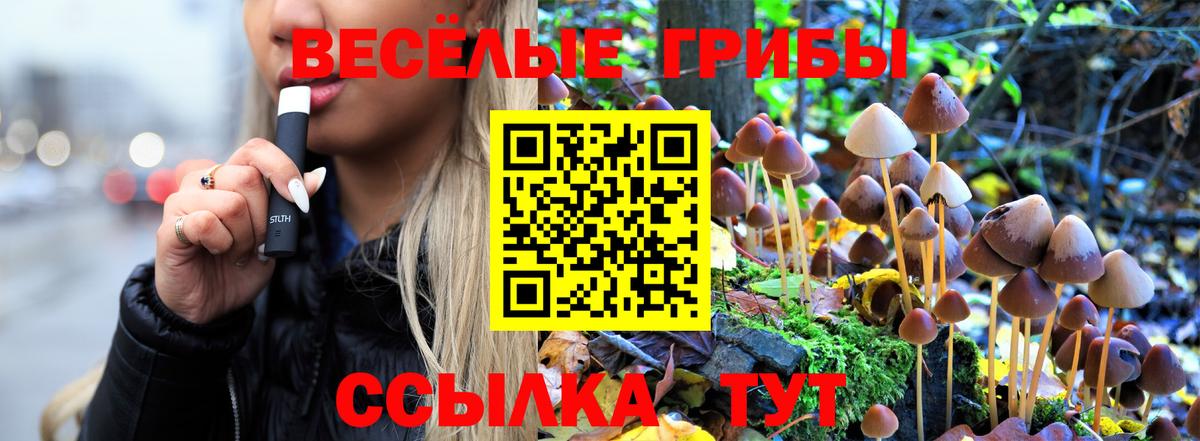 Псилоцибиновые грибы ЛСД Углич
